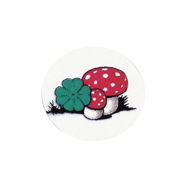Dentaurum Obrazek- Muchomurky