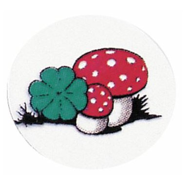 Dentaurum Obrazek- Muchomurky