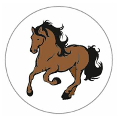 Dentaurum Obrazek- Konik