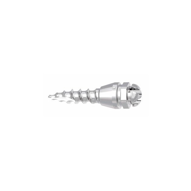 Tomas® pin SD - miniimplantat 6 mm samorezny STERILNI- sroub