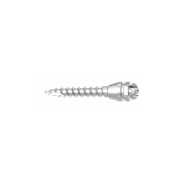 Tomas® pin SD - miniimplantat 10 mm samorezny STERILNI- sroub