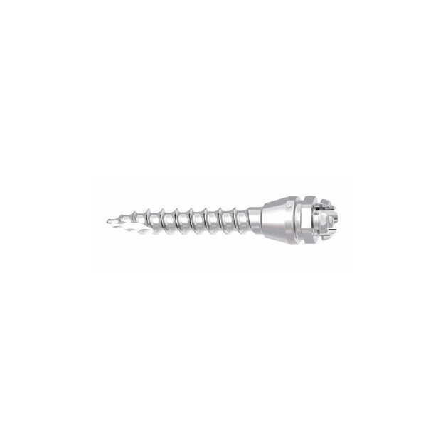 Tomas® pin SD - miniimplantat 10 mm samorezny NEsterilni