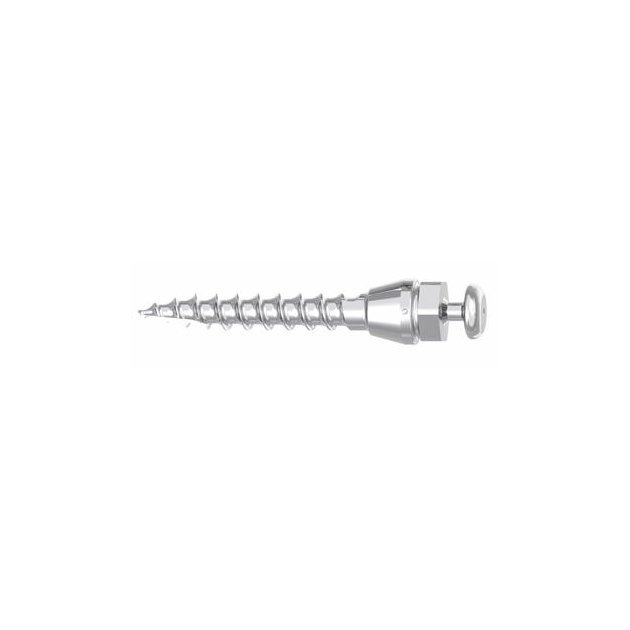 ObrázekTomas® pin EP - miniimplantat 10 mm samorezny NEsterilni