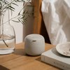 PURO Purifier M - Ultrazvuková čistička na rovnátka a náhrady, skandinávská zelená 4