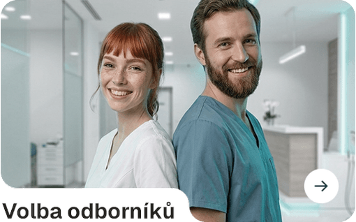 Volba odborníků
