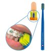 CURAPROX CS 5460 ORTHO zubní kartáček v celofánu detail